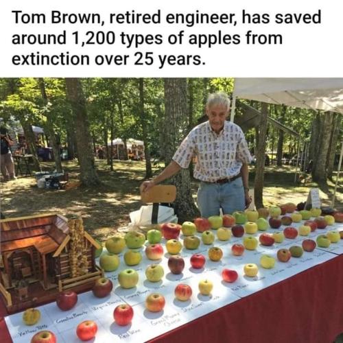 FB_IMG_1698077161759