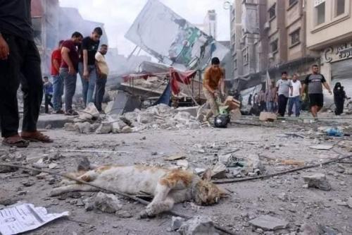 IMG_20231030_092056_716