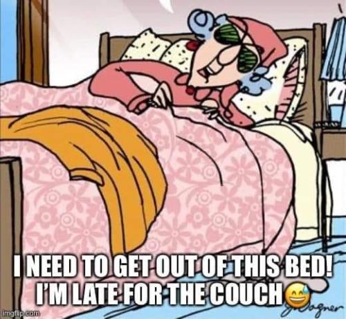 395104090_271988669150700_2499683480764922630_n