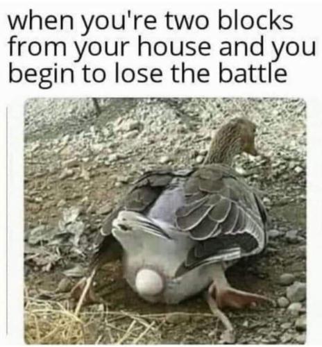 FB_IMG_1697574894605