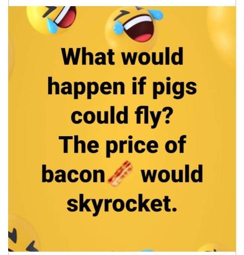 FB_IMG_1696489154985