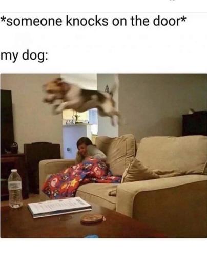 FB_IMG_1696411826817