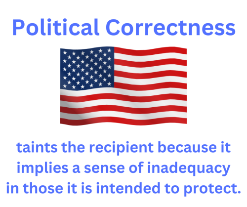 Political Correctness