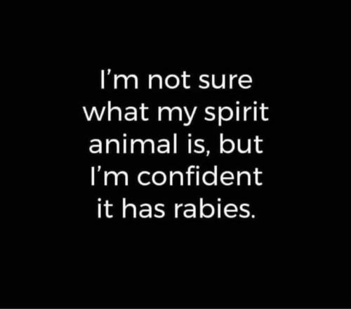 FB_IMG_1696376895917