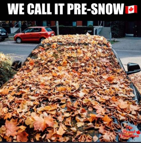 pre snow