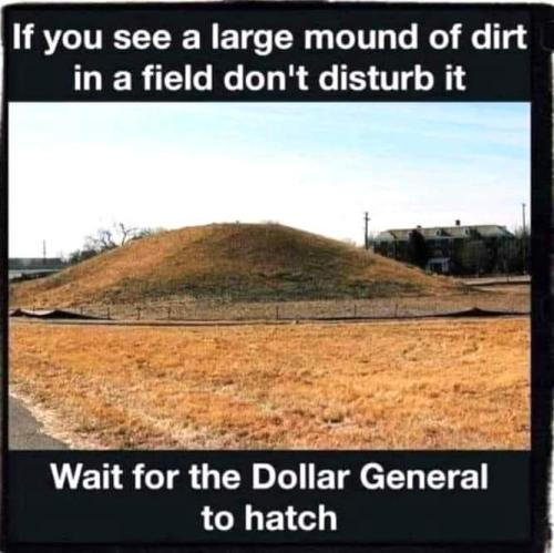 FB_IMG_1698416449025