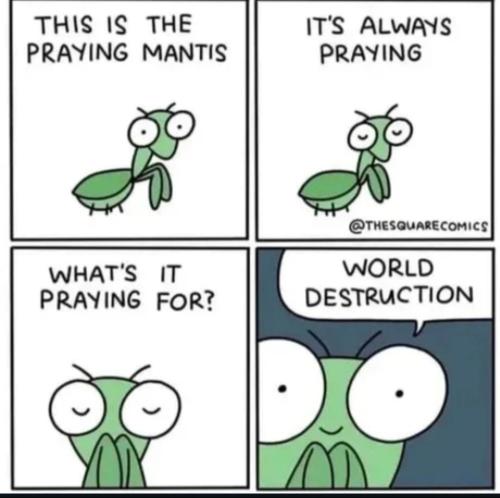 Screenshot_20231018_114622_Photos