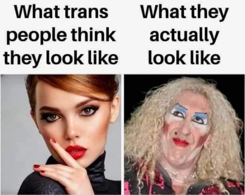 FB_IMG_1698350887787