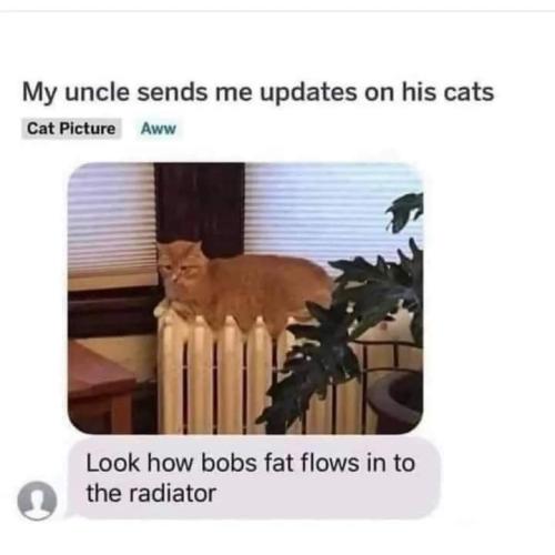 FB_IMG_1697291599591