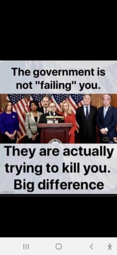 Screenshot_20230815-091320_Wimkin Free Speech Social Media