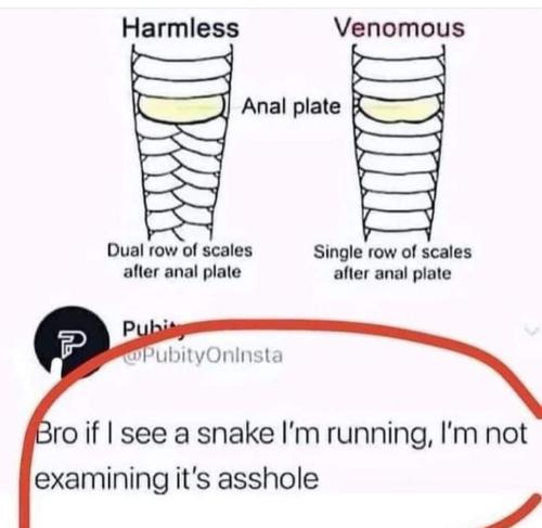 Screenshot_20231025_093617_Facebook