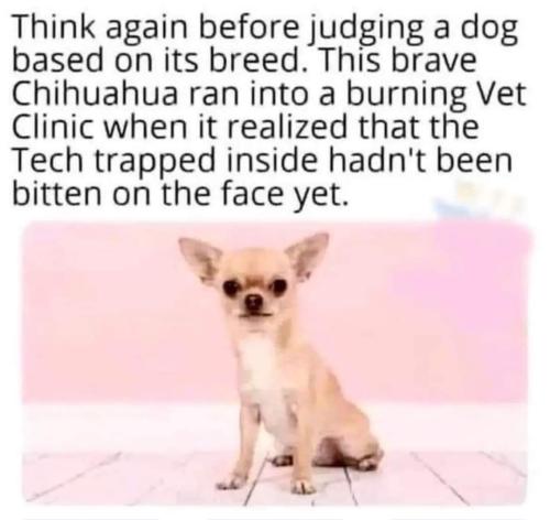 FB_IMG_1698167361154