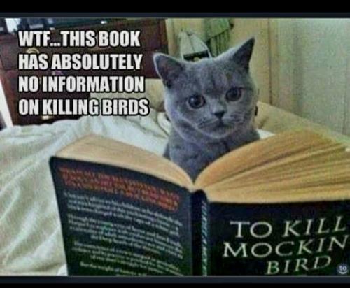 Screenshot_20231012_085619_Gallery