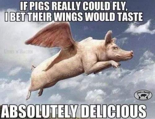 FB_IMG_1696885657279