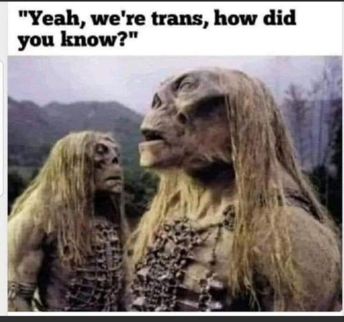 Screenshot_20231004-091937_MeWe