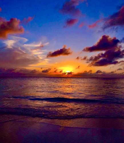 4A40DB5B-C264-4EBE-A8E5-D8AA7264B556