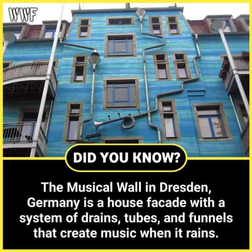 FB_IMG_1697793756095