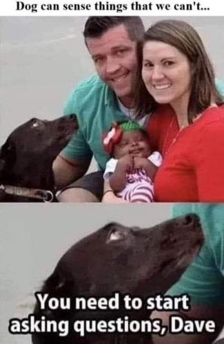 FB_IMG_1697129829733