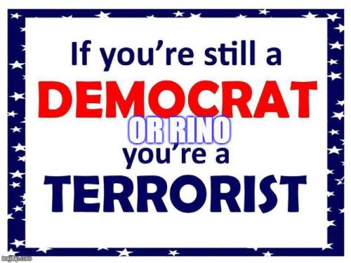Democratic RINO Terrorism 3
