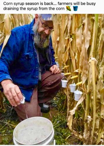 BADAC409-DD53-4AC7-AE31-55BB3EB2E6A8