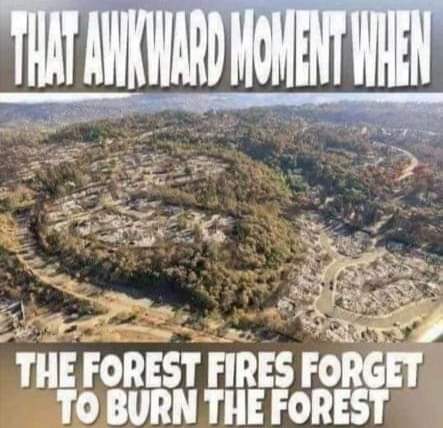 FB_IMG_1697898061243