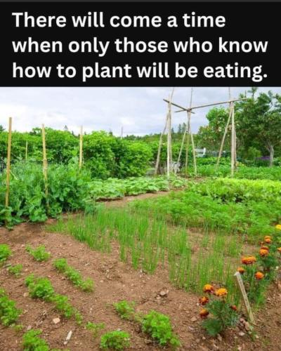 FB_IMG_1696123988029