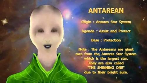 .      312910013_11556575753