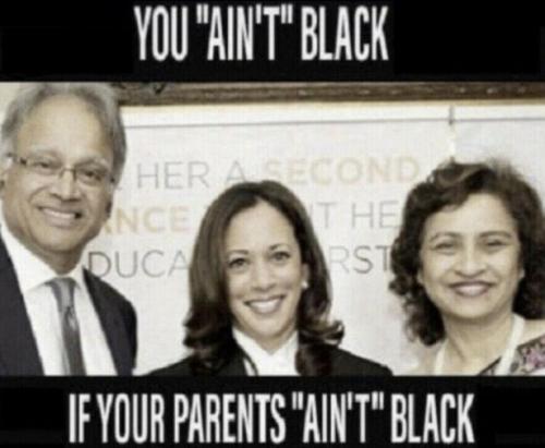 kamala harris997
