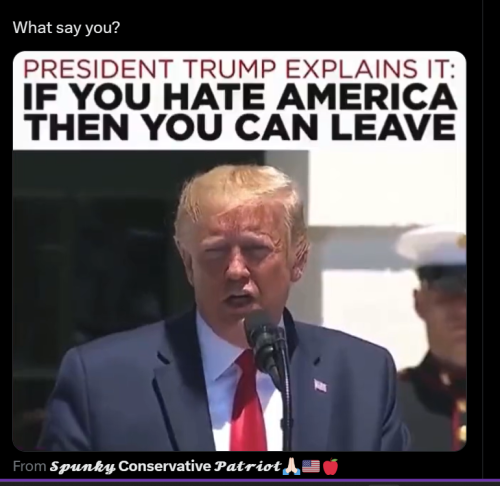 Screenshot 2023-10-24 165021