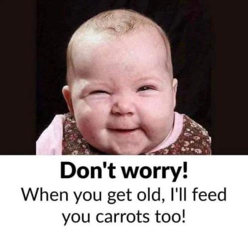 FB_IMG_1697665423849