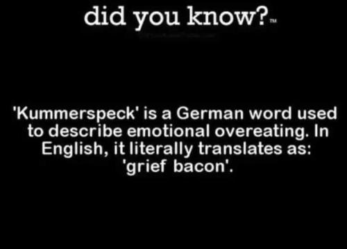 FB_IMG_1696359100256