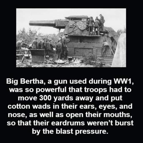 FB_IMG_1696341321096