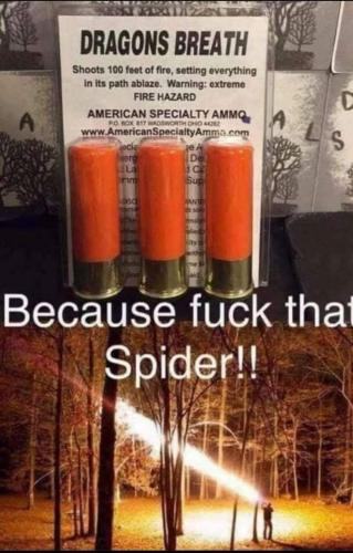 FB_IMG_1698339448176