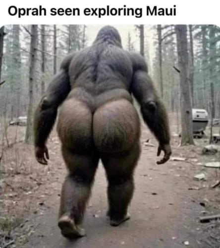 FB_IMG_1698707444666