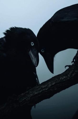 FB_IMG_1697350751081