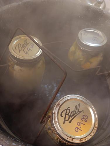 IMG_20230909_183333_02