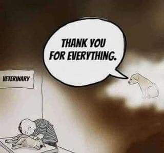 FB_IMG_1697502333325