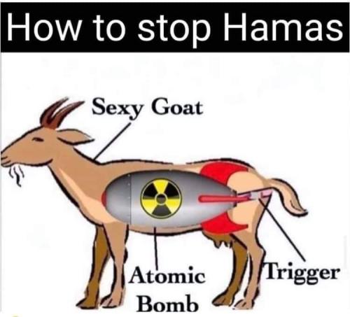 FB_IMG_1697303607325