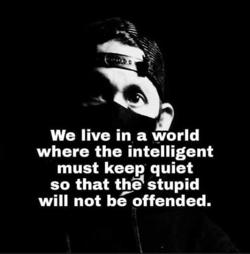 393347721_848384610415517_4861303257025185424_n