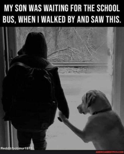 FB_IMG_1698243314864