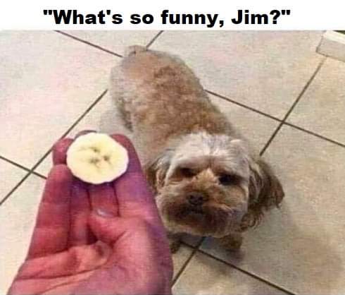 FB_IMG_1696358769712