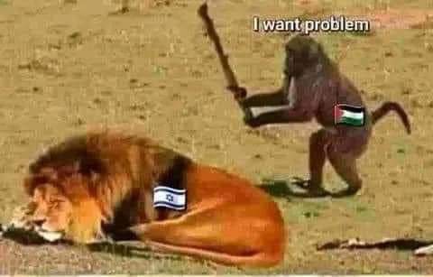 FB_IMG_1698337781576