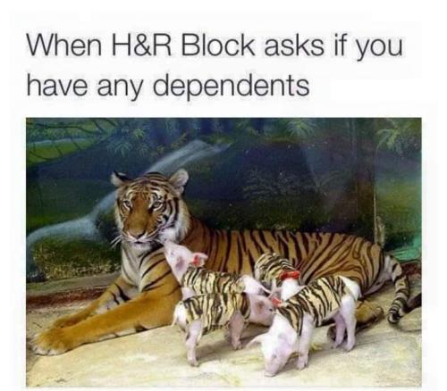 FB_IMG_1698435182663