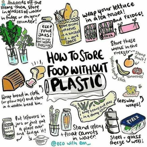 Store Food without Plastic