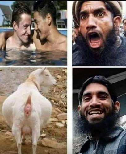 FB_IMG_1698156805004