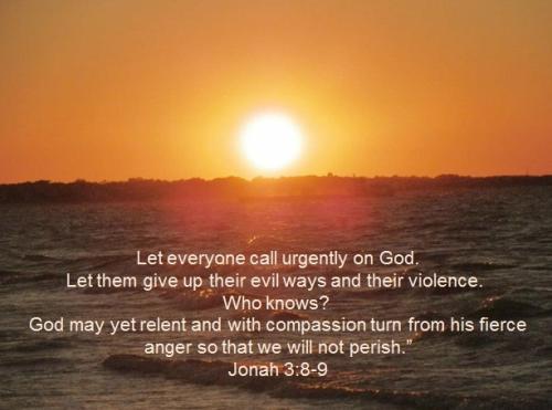 Jonah 3_8-9