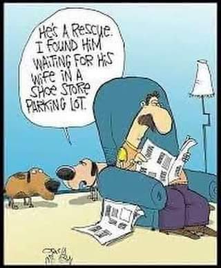 FB_IMG_1696409230056