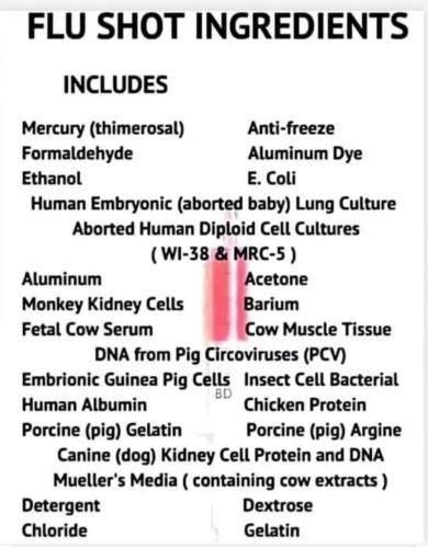 FB_IMG_1696537767715