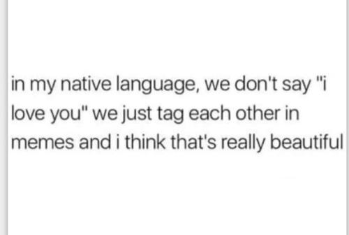 FB_IMG_1698340856491
