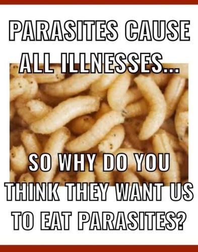Parasites cause illness